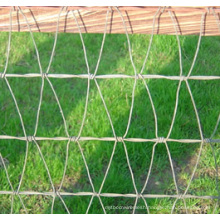 Strong and Flexibility Galvanized Steel Horse Fence